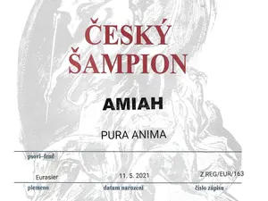 Amiah Pura Anima – Fotografie 3