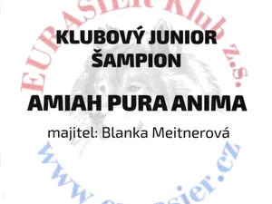 Amiah Pura Anima – Fotografie 2